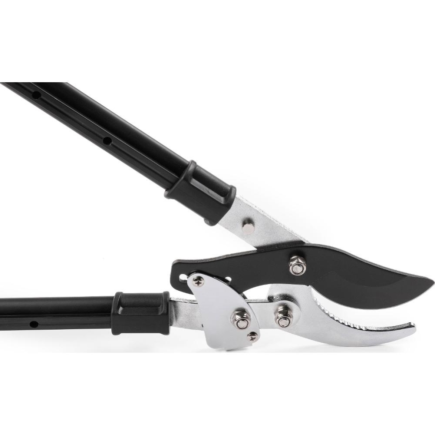 Fieldmann - Coupe-branches télescopiques à levier