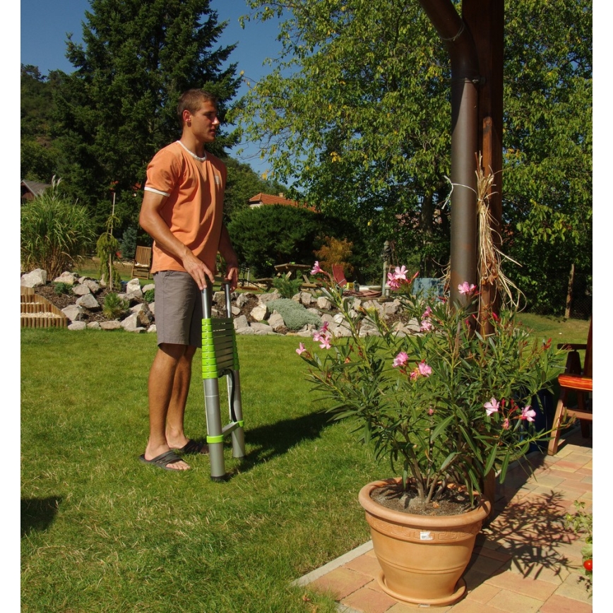 Fieldmann - Échelle télescopique 3,8 m