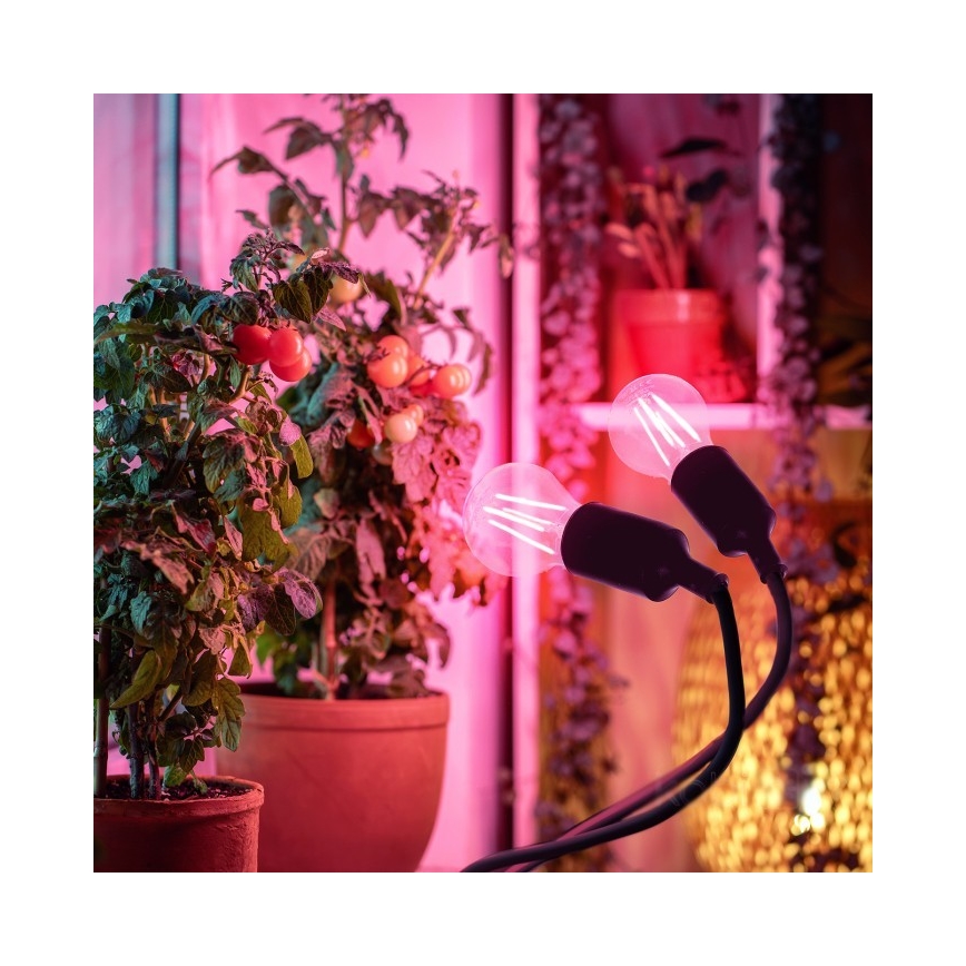 Flexible Tischleuchte mit Klemme für die Pflanzenzucht PLANTY 2xE27/30W/230V schwarz
