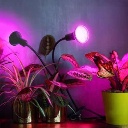 Flexible Tischleuchte mit Klemme für die Pflanzenzucht PLANTY 2xE27/30W/230V schwarz