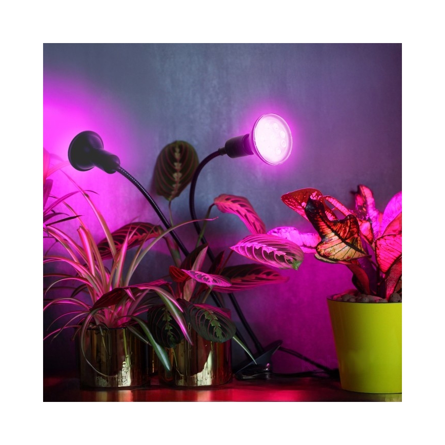 Flexible Tischleuchte mit Klemme für die Pflanzenzucht PLANTY 2xE27/30W/230V schwarz