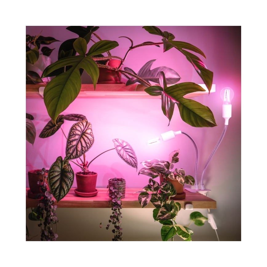 Flexible Tischleuchte mit Klemme für die Pflanzenzucht PLANTY 2xE27/30W/230V weiß