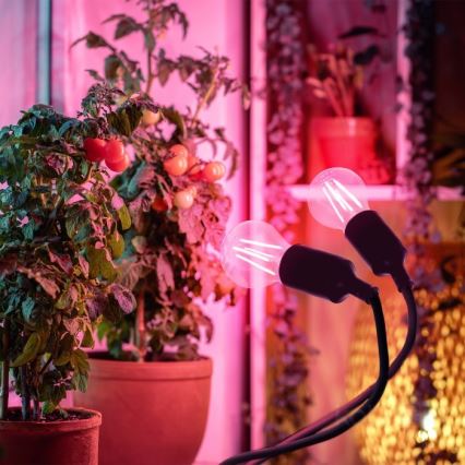 Flexibler Tischlampen-Klemmleuchte für Pflanzenzucht PLANTY 2xE27/30W/230V schwarz