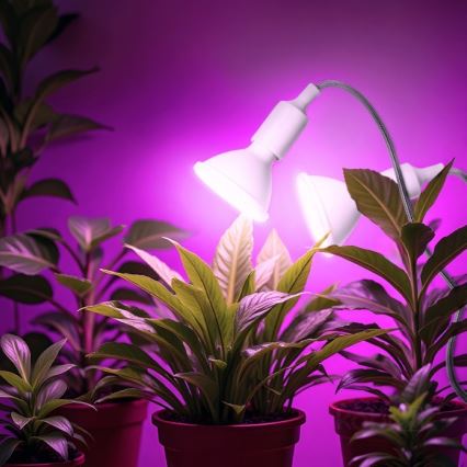 Flexibler Tischlampen-Klemmleuchte für Pflanzenzucht PLANTY 2xE27/30W/230V Weiß