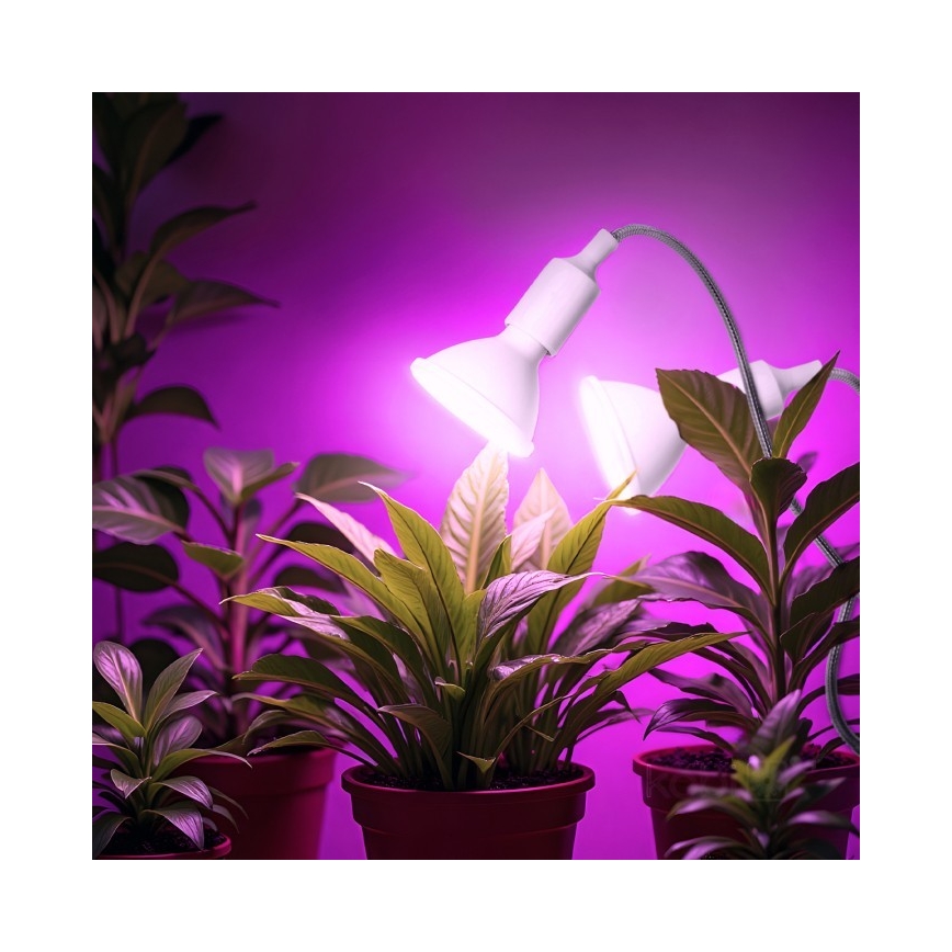 Flexibler Tischlampen-Klemmleuchte für Pflanzenzucht PLANTY 2xE27/30W/230V Weiß