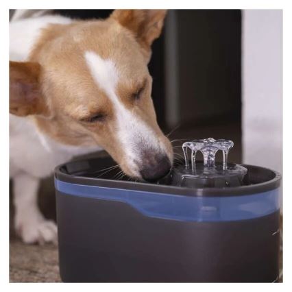 Fontana d'acqua per animali domestici 2,6 l/5V grigio