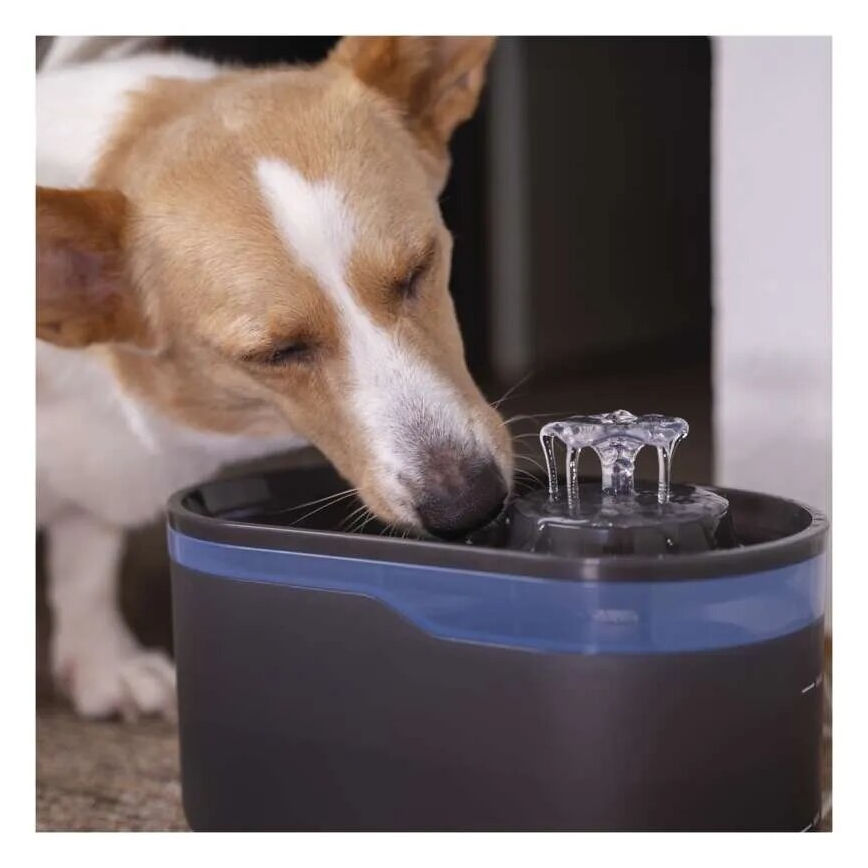 Fontana d'acqua per animali domestici 2,6 l/5V grigio