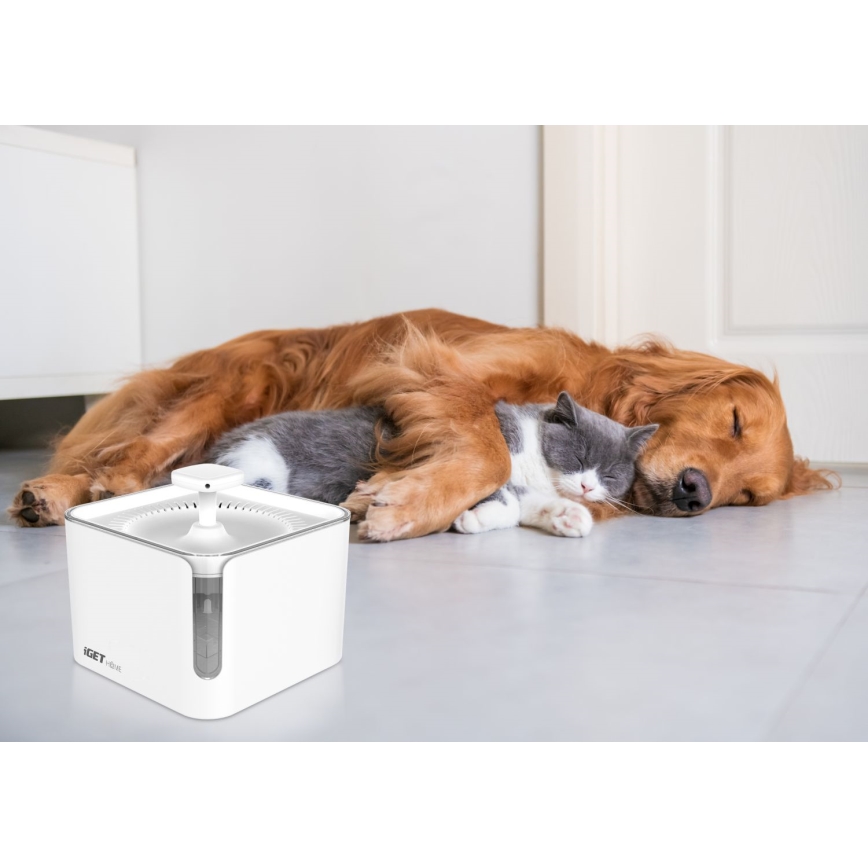 Fontana d'acqua per animali domestici 3l 230V
