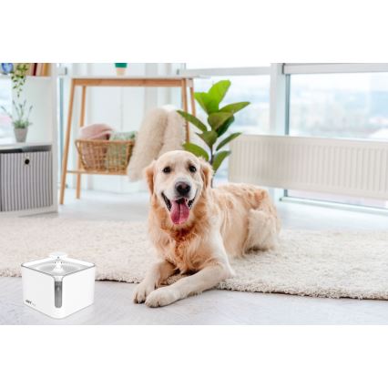 Fontana d'acqua per animali domestici 3l 230V