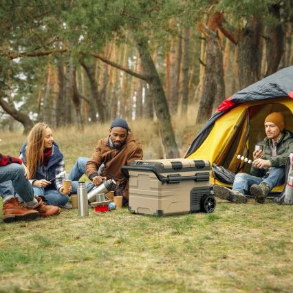 Frigorifero portatile per auto con display LCD 39 l 230V/12V/24V marrone