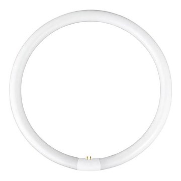 Fulgur con un-03107 - Risparmio energetico fluorescente tubo T5 G10q/38W/230V 2700K diametro 30,5 cm