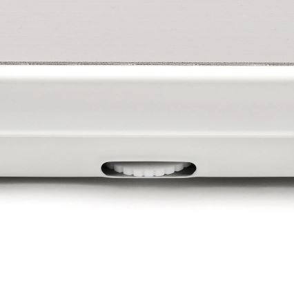 G3Ferrari G3004800 - Bilancia personale meccanica CLASSICA grigia