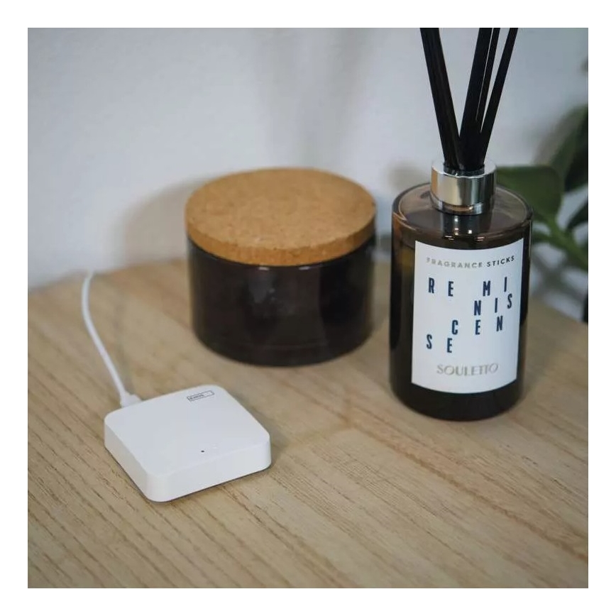 Gateway smart GoSmart ZigBee 3.0 5V Wi-Fi