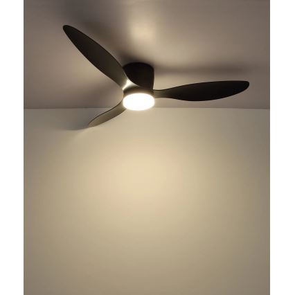 Globo - LED dimmbarer Deckenventilator LED/20W/230V 3000-6500K + Fernbedienung