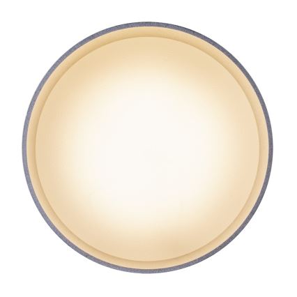 Globo 12015N - Plafoniera LED JENNY LED/8W/230V + LED/4W/230V