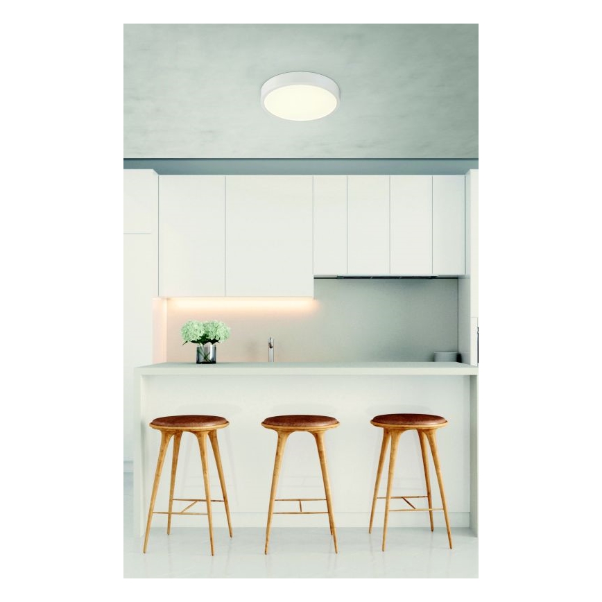 Globo 12364-22 - LED Dimmbare Badezimmer Deckenleuchte ARCHIMEDES LED/22W/230V IP44