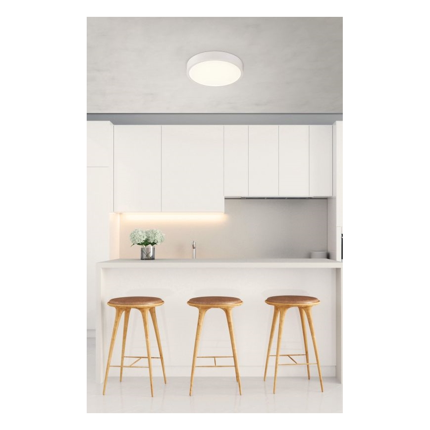 Globo 12364-22 - LED Dimmbare Badezimmer Deckenleuchte ARCHIMEDES LED/22W/230V IP44