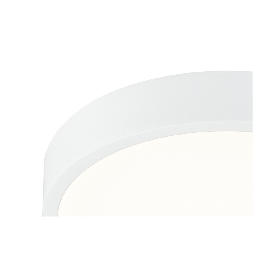 Globo 12364-22 - LED Dimmbare Badezimmer Deckenleuchte ARCHIMEDES LED/22W/230V IP44