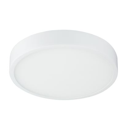 Globo - LED dimmbare Deckenleuchte LED/22W/230V
