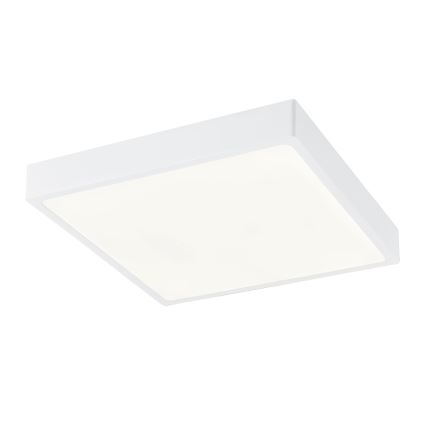 Globo - Plafoniera LED dimmerabile LED/28W/230V