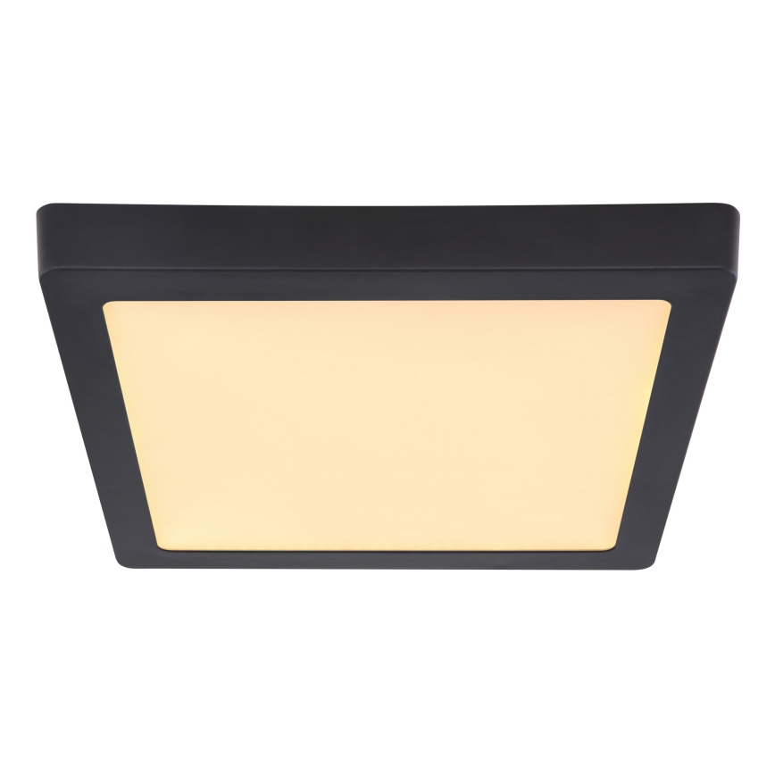 Globo - Plafoniera LED LED/22W/230V