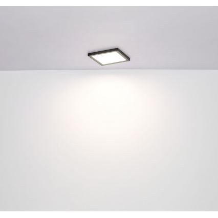 Globo  -LED-Deckenleuchte /12W/230V 3000/4000/6500K schwarz