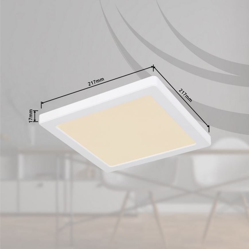 Globo - LED-Deckenleuchte LED/18W/230V 3000/4000/6500K weiß