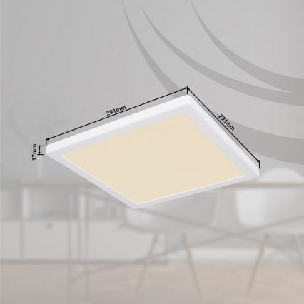 Globo - LED-Deckenleuchte /24W/230V 3000/4000/6500K weiß