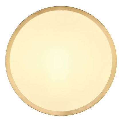 Globo - Plafonnier LED LED/15W/230V d. 25 cm
