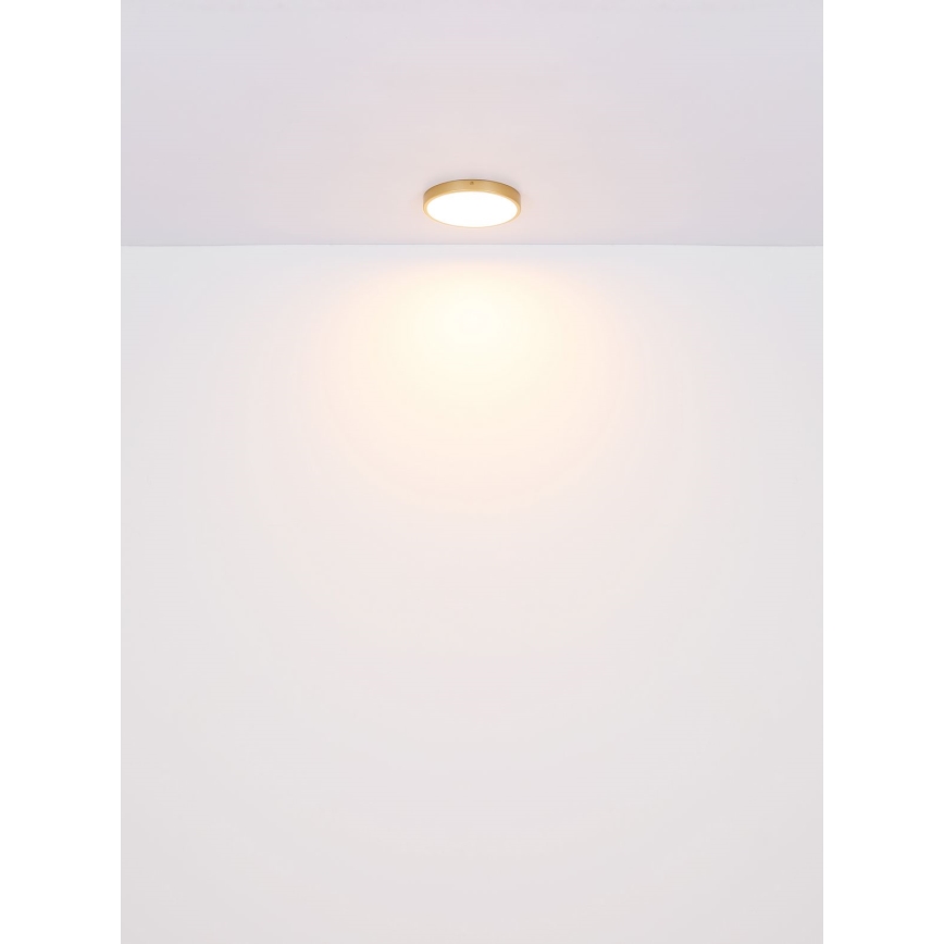 Globo - Plafonnier LED LED/22W/230V d. 35 cm