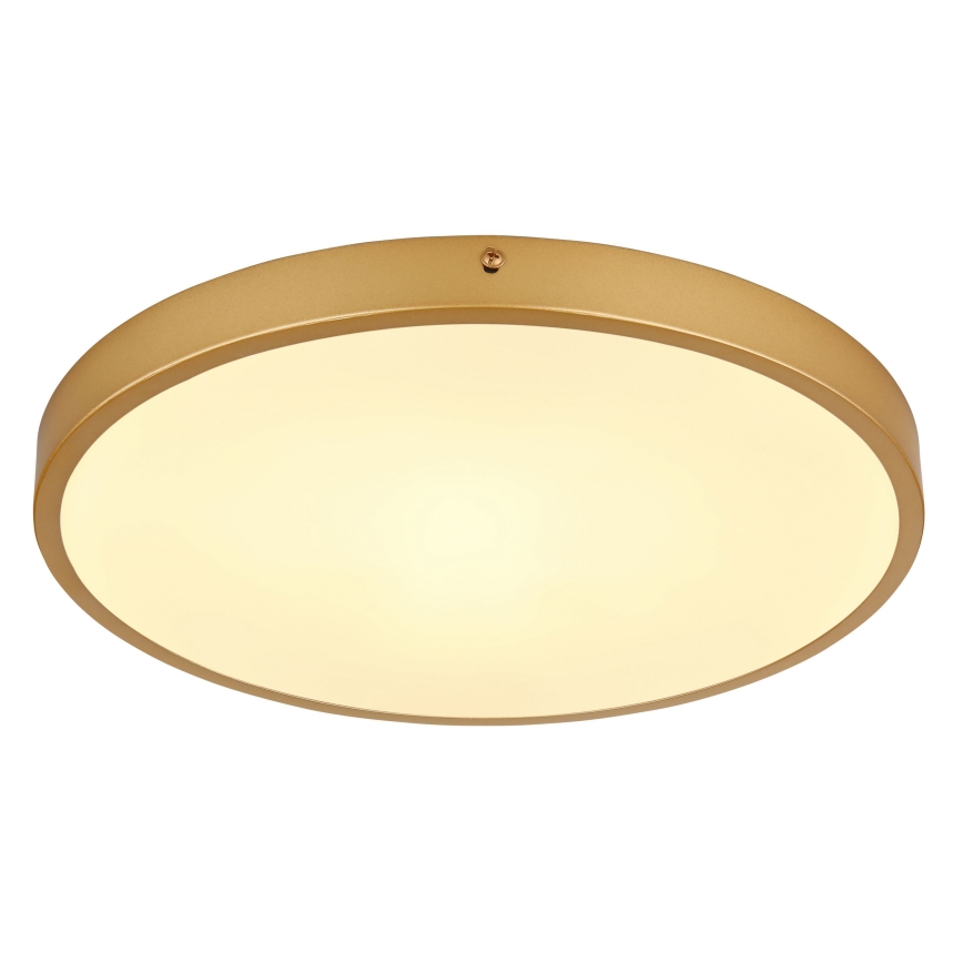 Globo - Plafonnier LED LED/22W/230V d. 35 cm