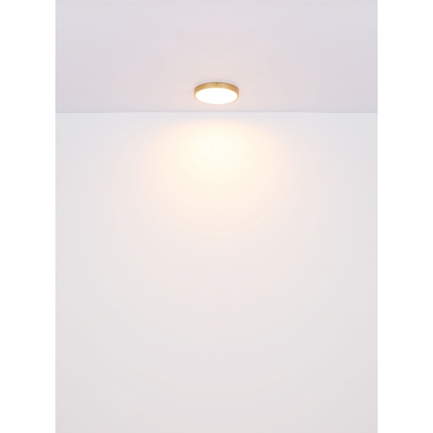 Globo - LED-Deckenleuchte LED/30W/230V d 45 cm