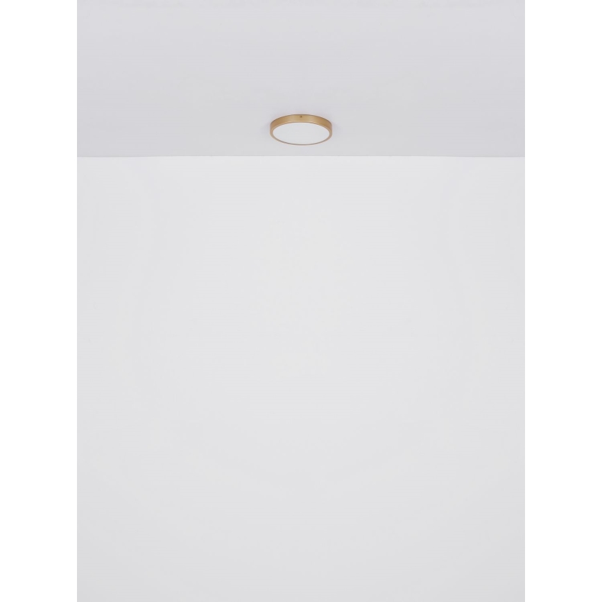 Globo - LED-Deckenleuchte LED/30W/230V d 45 cm