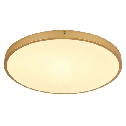 Globo - LED-Deckenleuchte LED/30W/230V d 45 cm