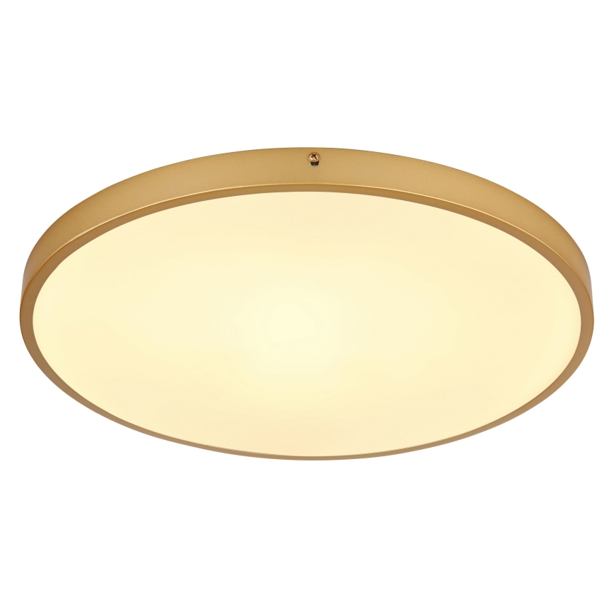 Globo - LED-Deckenleuchte LED/30W/230V d 45 cm