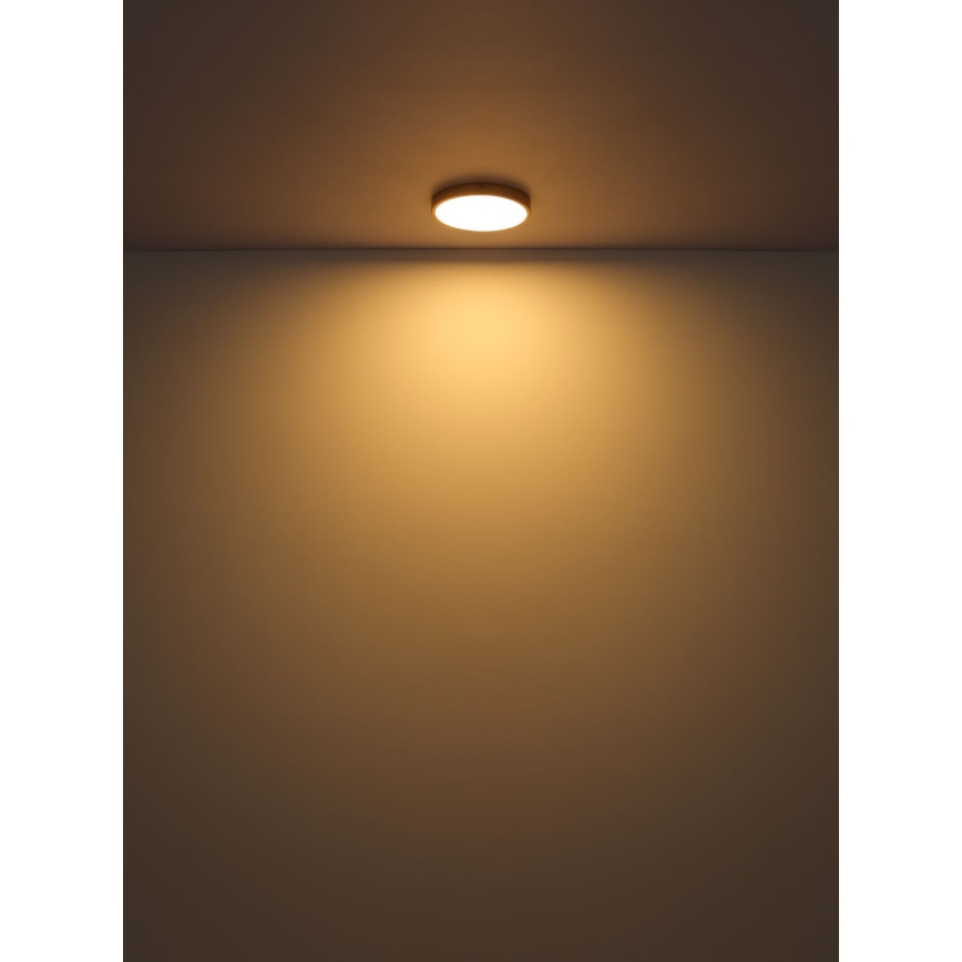 Globo - Plafonnier LED LED/30W/230V d. 45 cm