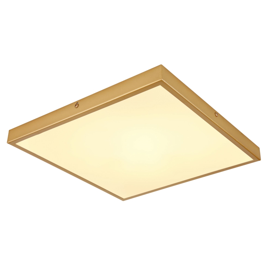 Globo - LED-Deckenleuchte LED/22W/230V 35x35 cm