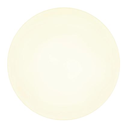 Globo - Plafonnier LED/24W/230V 3000K/4000K/6500K d. 30 cm blanc