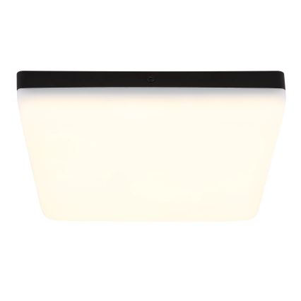 Globo - LED-Deckenleuchte LED/12W/230V 4000K 22x22 cm schwarz