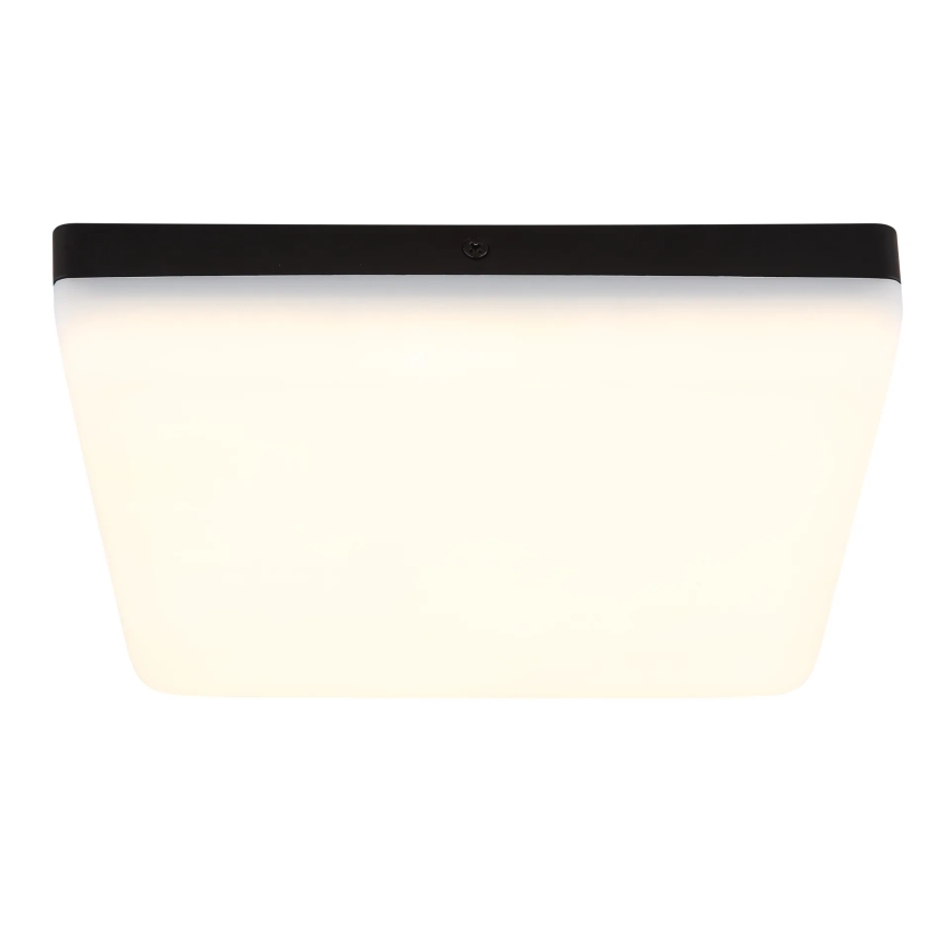 Globo - LED-Deckenleuchte LED/12W/230V 4000K 22x22 cm schwarz