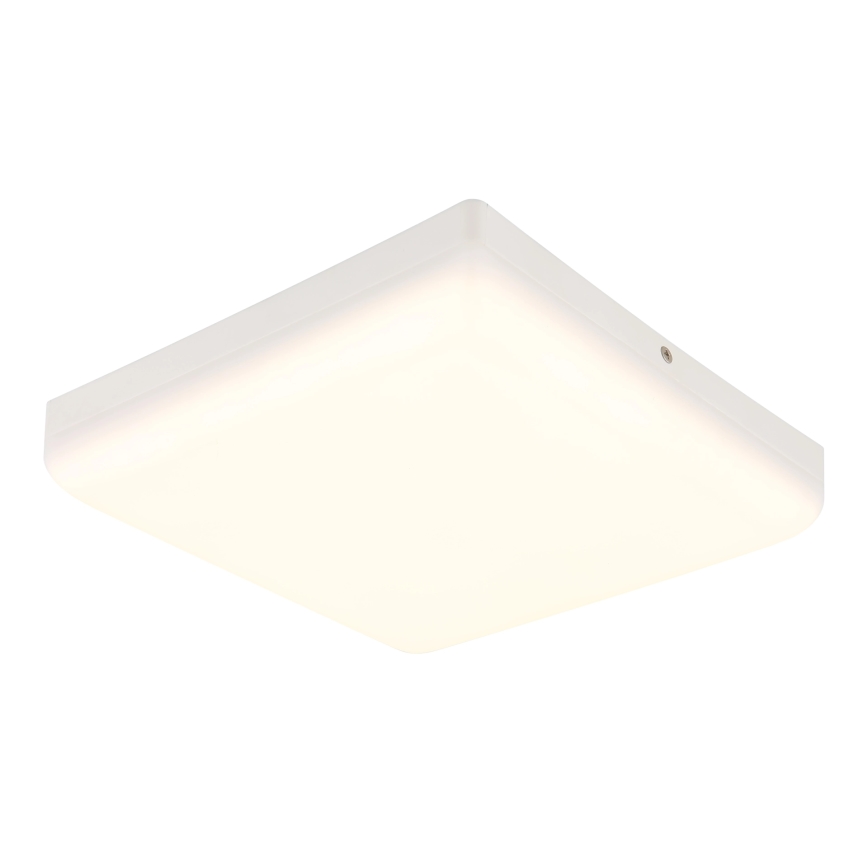 Globo - LED-Deckenleuchte LED/12W/230V 4000K 22x22 cm weiß