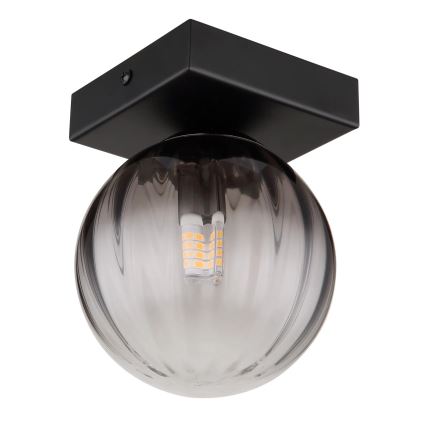 Globo - Plafoniera 1xG9/10W/230V