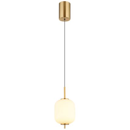 Globo - Suspension filaire LED/7W/230V