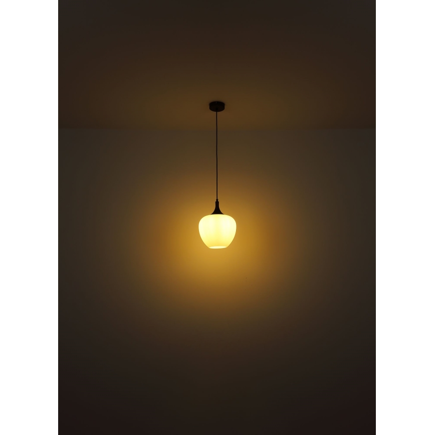 Globo - Lampadario a sospensione con filo 1xE27/60W/230V diametro 29 cm bianco/marrone