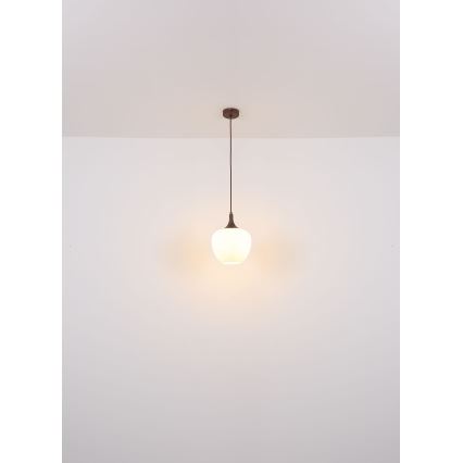 Globo - Lampadario a sospensione con filo 1xE27/60W/230V diametro 29 cm bianco/marrone