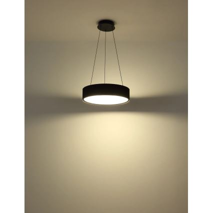 Globo - Suspension LED sur câble, 45 W, 230 V, 2700/4000/6000 K, Ø 46 cm, noire