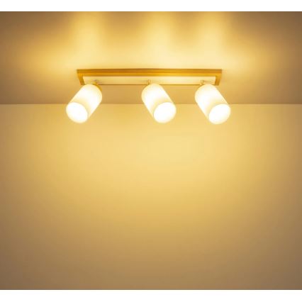 Globo - Faretto 3xE27/60W/230V rovere/bianco