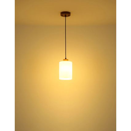 Globo - Pendelleuchte mit Kabel 1xE27/60W/230V Eiche/Weiß