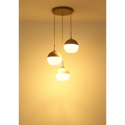Globo - Lampadario a sospensione con cavo 3xE27/60W/230V