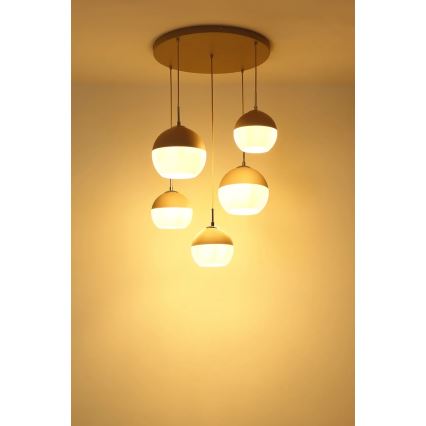 Globo - Lampadario a sospensione con cavo, 5x E27/60W/230V